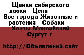 Щенки сибирского хаски › Цена ­ 12 000 - Все города Животные и растения » Собаки   . Ханты-Мансийский,Сургут г.